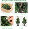 2-Pack 27.5in Artificial Cedar Topiary Trees, UV-Resistant Potted Plants for Entryway Decor